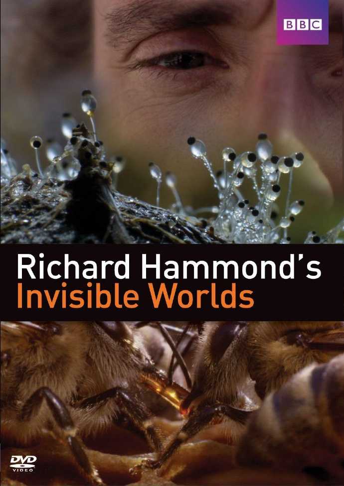2010高分纪录片《理查德·哈蒙德：看不见的世界》全集 HD1080P 迅雷下载