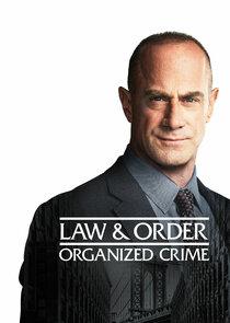 2022《法律与秩序：组织犯罪第三季》美国犯罪历史 更新至第16集 迅雷磁力网盘下载