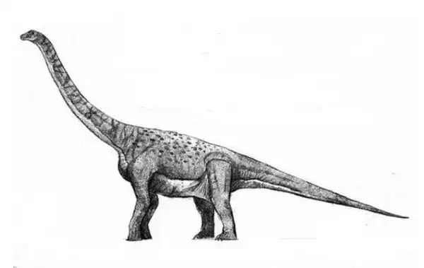 世界10大最大的恐龙，阿根廷龙居榜首，体格是霸王龙的五倍大