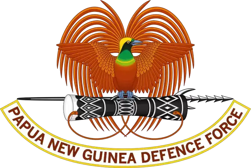 涨姿势：巴布亚新几内亚军衔标识图片