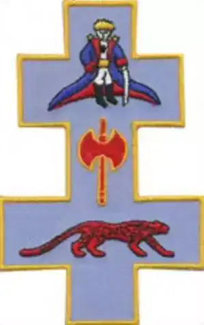 法国空军的标志：空军标识（3）