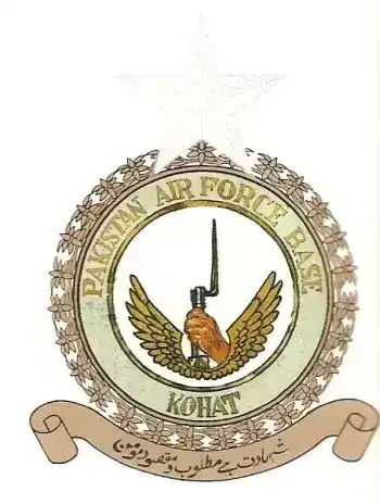 巴基斯坦军队各类标识：空军（2）