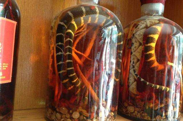 毒蛇泡在酒中几年，为啥还能复活咬死人？蛇体内寄生虫能被泡死吗