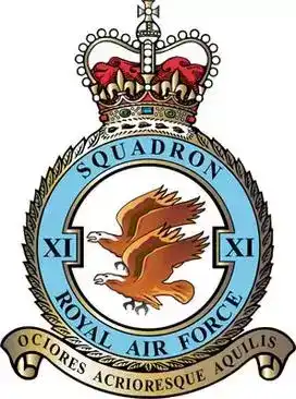 英国空军的标志：飞行中队（11-20）