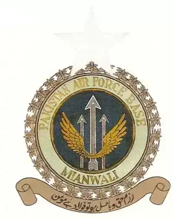 巴基斯坦军队各类标识：空军（2）