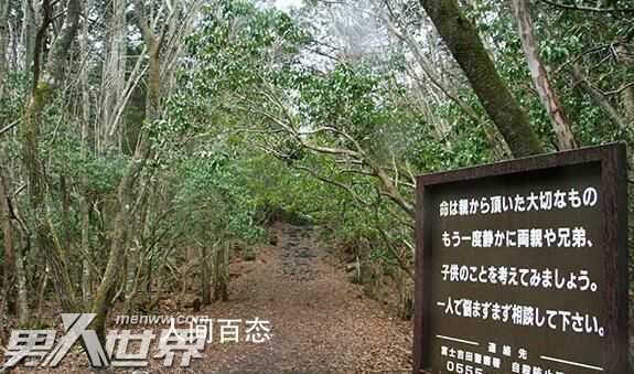 日本死亡森林可以进去吗 青木原树海为什么这么恐怖