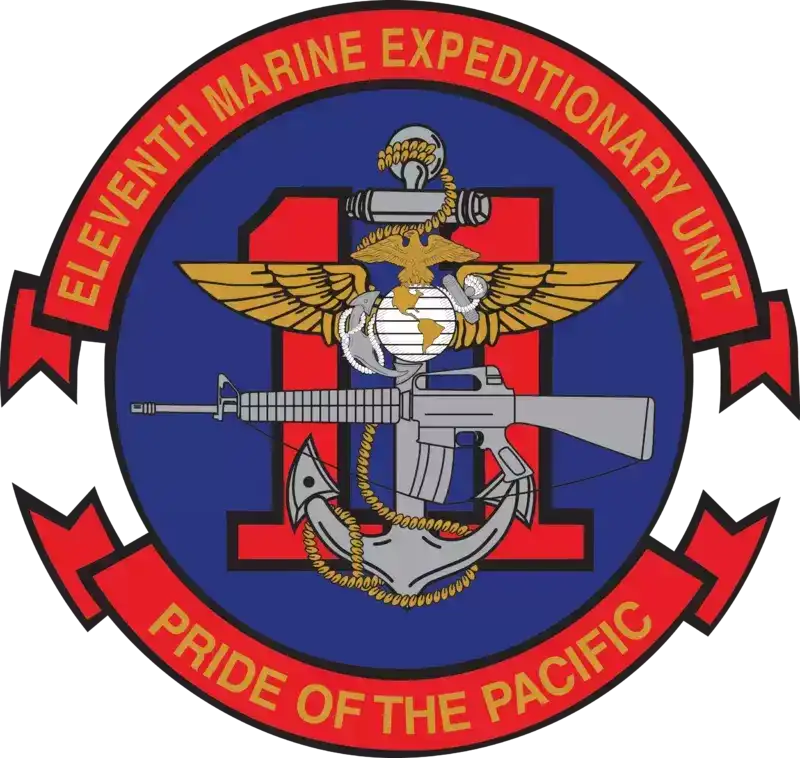 美国海军陆战队标志：远征分队