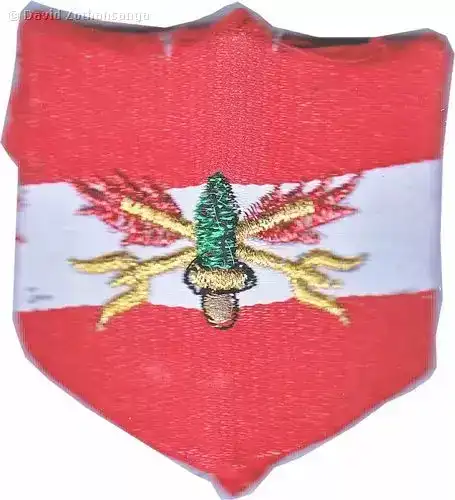 印度陆军标志：第十四军