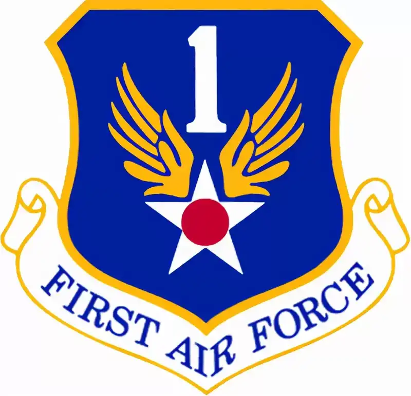美国空军的标志：空军第一军