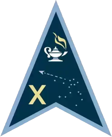 美国太空军标志：三角翼部队第10-12
