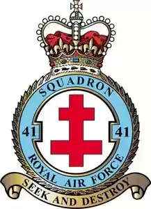 英国空军的标志：飞行中队（41-50）