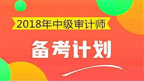 2014年审计师《理论与实务》三套模拟试卷,全套视频教程学习资料通过百度云网盘下载 