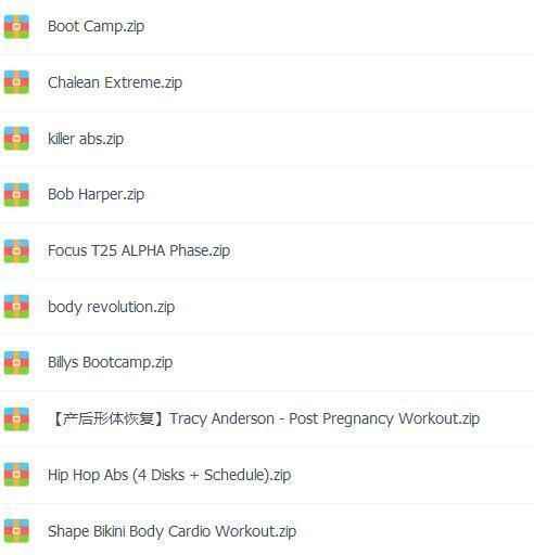其他健身,全套视频教程学习资料通过百度云网盘下载 