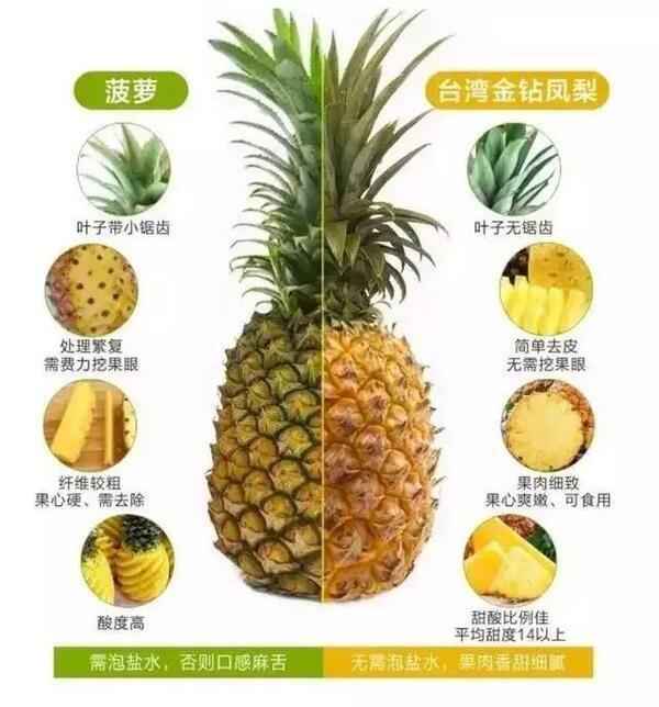 凤梨是什么？凤梨和菠萝的区别？