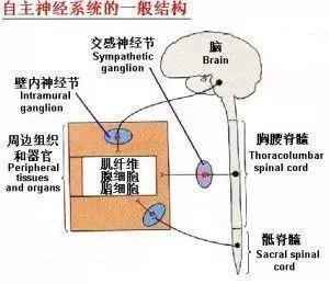 怎么让女生快速高潮？