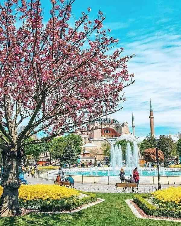 伊斯坦布尔在哪个国家？和伊斯坦布尔的春天有个约会