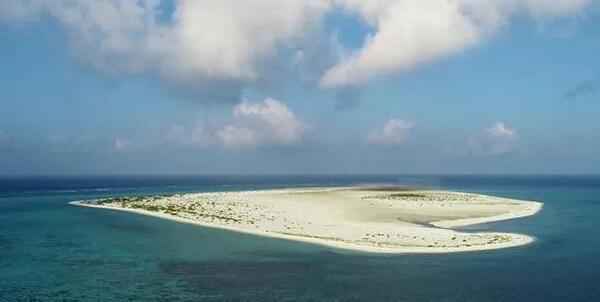 中建岛—西沙曾经的海上移动白沙滩，如今的绿色森林