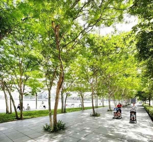 新加坡 | 皇后广场和海滨公园