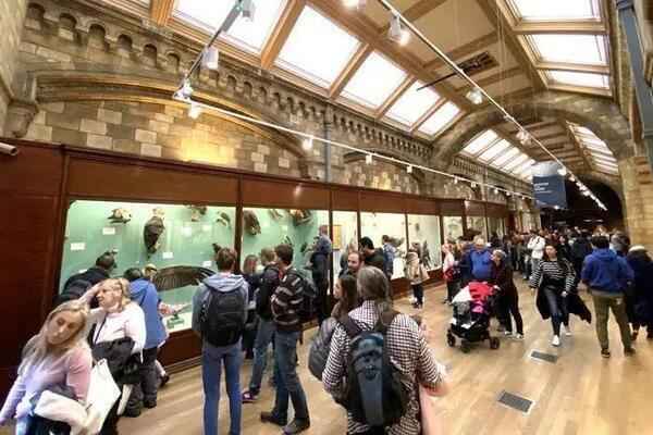伦敦 · 自然历史博物馆重拾童年记忆