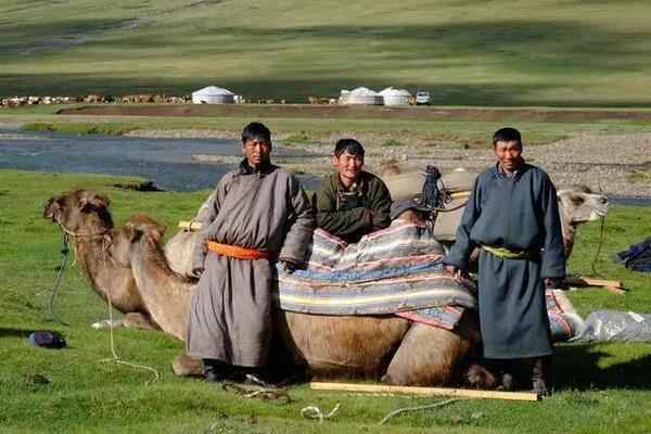 #蒙古国捐赠3万只羊入境#真实的蒙古国游记