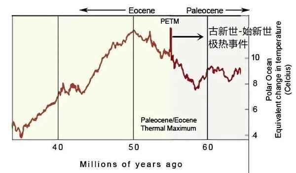 鲸鱼的祖先是什么样子的？鲸鱼的祖先是在陆地上生活的吗？