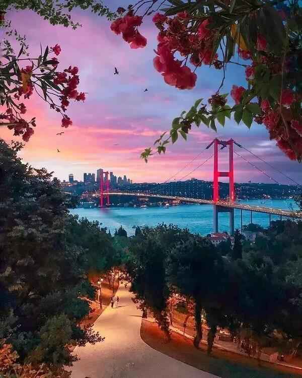 伊斯坦布尔在哪个国家？和伊斯坦布尔的春天有个约会