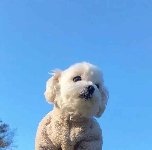 阳光正能量的励志说说短语，发朋友圈人见人爱！