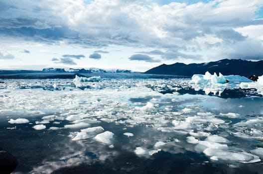 冷知识科普 | 在海洋中的哺乳动物为什么不会被冻死？