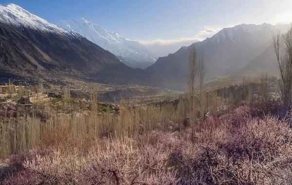 八千米雪山杏花：从风之谷到帕米尔的喀喇昆仑公路摄影之旅