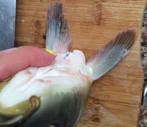 松花鱼的家常做法步骤有哪些？