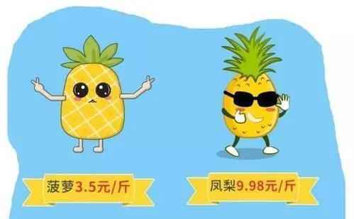 凤梨是什么？凤梨和菠萝的区别？