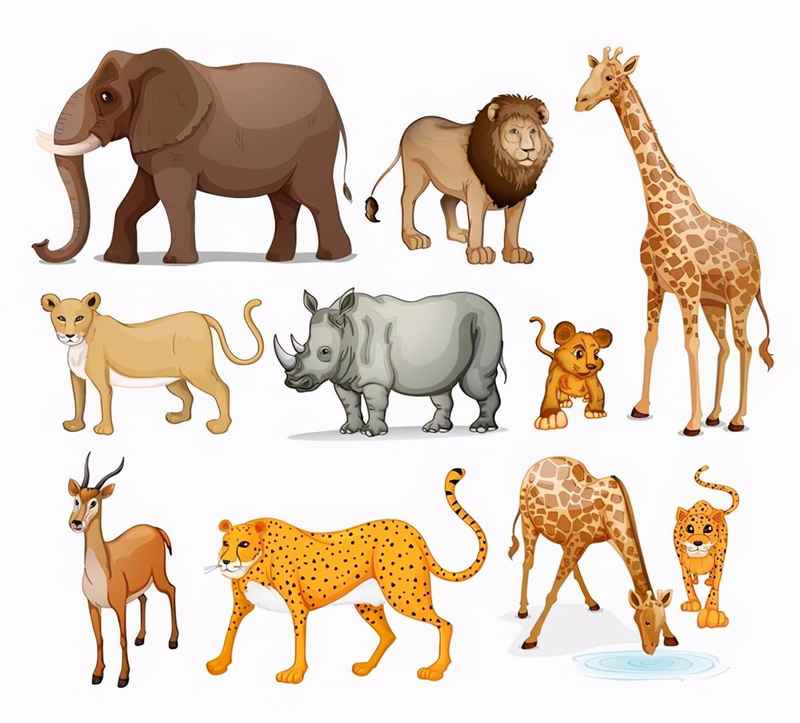 哪些动物有感知力？什么动物的感知能力最强？盘点20个拥有“超级感知”的奇妙动物！