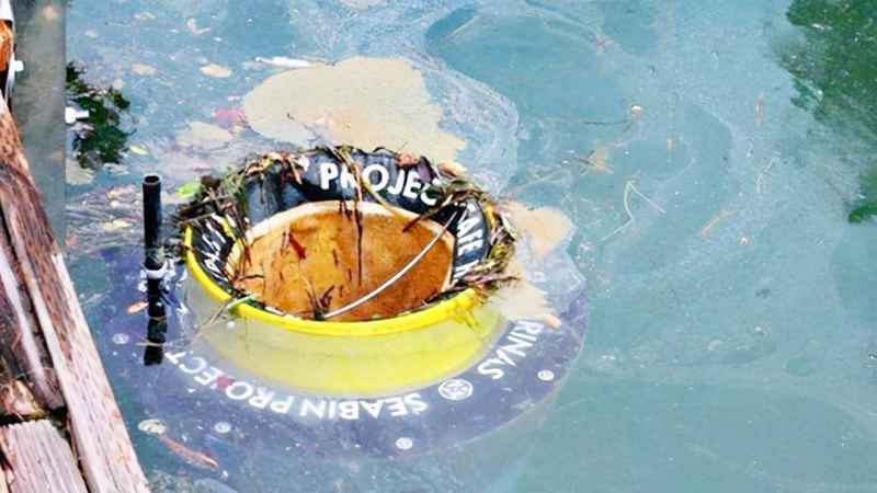 如何清除海洋垃圾？清理海洋垃圾的方法有哪些？盘点科学家清理海洋垃圾的7个“奇思妙想”