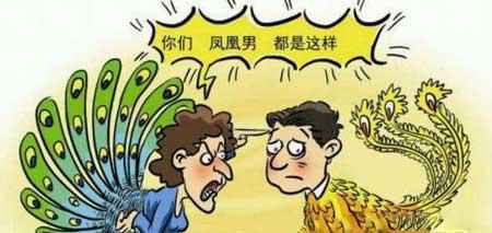 凤凰男是什么意思?凤凰男指的是什么样的男生呢?