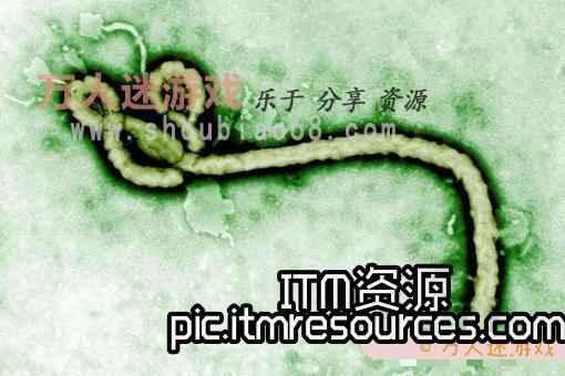为什么在中国没有埃博拉病毒？因为它被我们的习俗阻止了