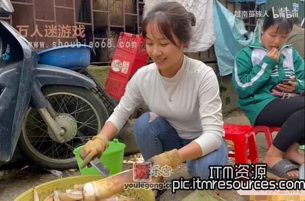 油管越南泡妞者：他们又去看卖竹笋的小姐姐了