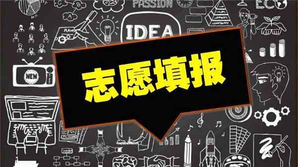 怎么填报高考志愿？这几点你要注意