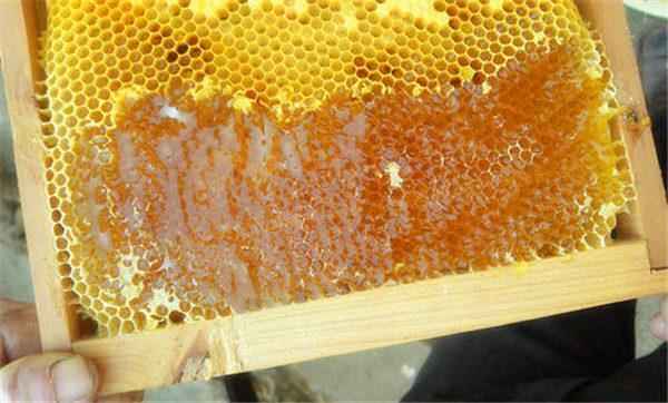 蜂蜜一般可以存放多久？养蜂人这样说
