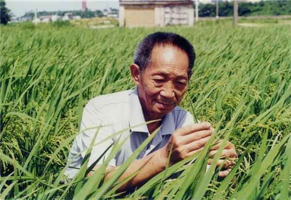 袁隆平竟然不是中国科学院院士(很多人为袁隆平鸣不平)