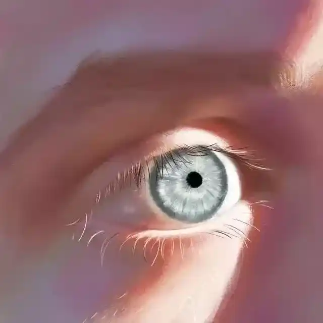 人眼睛有多少亿像素？这么厉害的眼睛是怎么进化出来的呢？