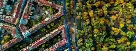 植被覆盖率最高的城市是哪个？盘点世界10个最绿色城市