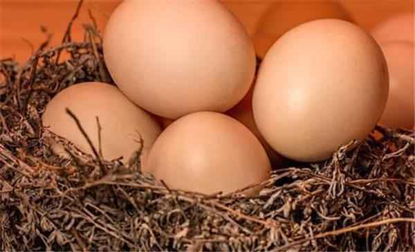 鸡蛋几个为什么不同(4块多6块多十几块的鸡蛋有什么不同)