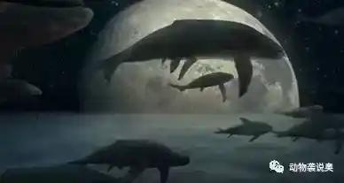 新西兰大龙鱼有多大？历史上体型最大的动物（新西兰大龙鱼）！
