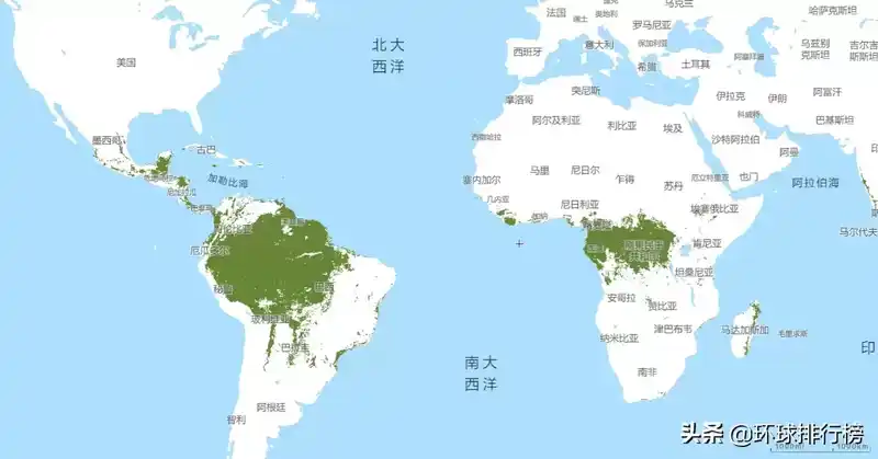 世界森林面积排名前十