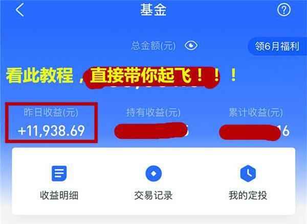 新手小白学习基金理财必看教程，纯干货一星期就学会基金理财