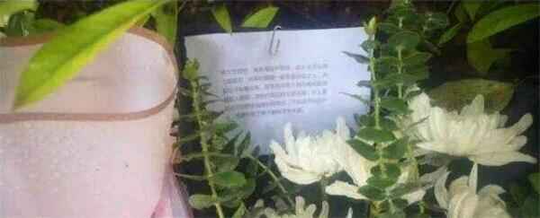 杭州杀妻嫌犯疑涉及18年前一个旧案，细节让人害怕