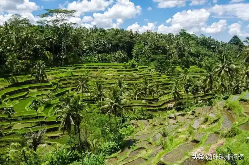 世界各国耕地面积排行榜：世界各国耕地面积排名Top10