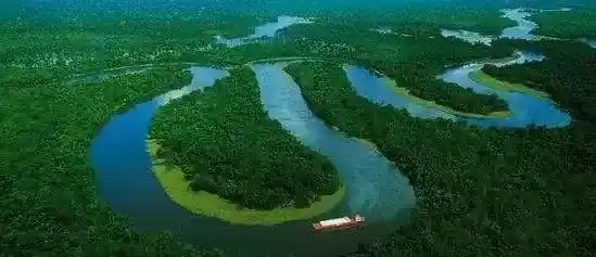 为什么亚马逊雨林被称为地球之肺？可以称作是地球的氧气瓶吗？