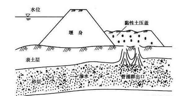 用黄豆抗洪原因揭秘，告诉你黄豆和抗洪有什么关系？