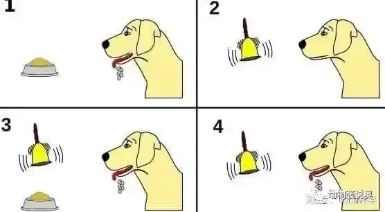 狗看见吃的流口水是什么反射？